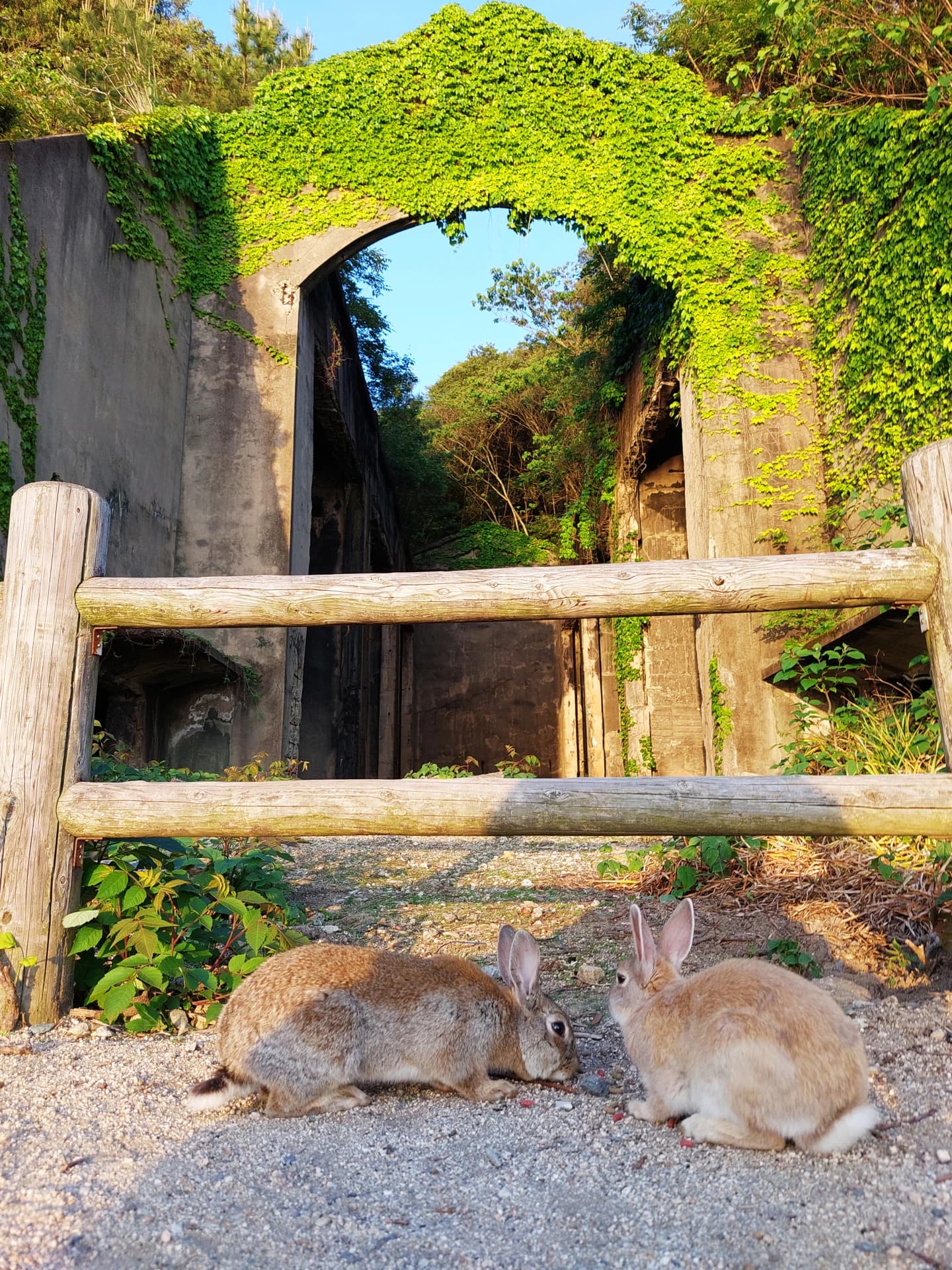 Okunoshima