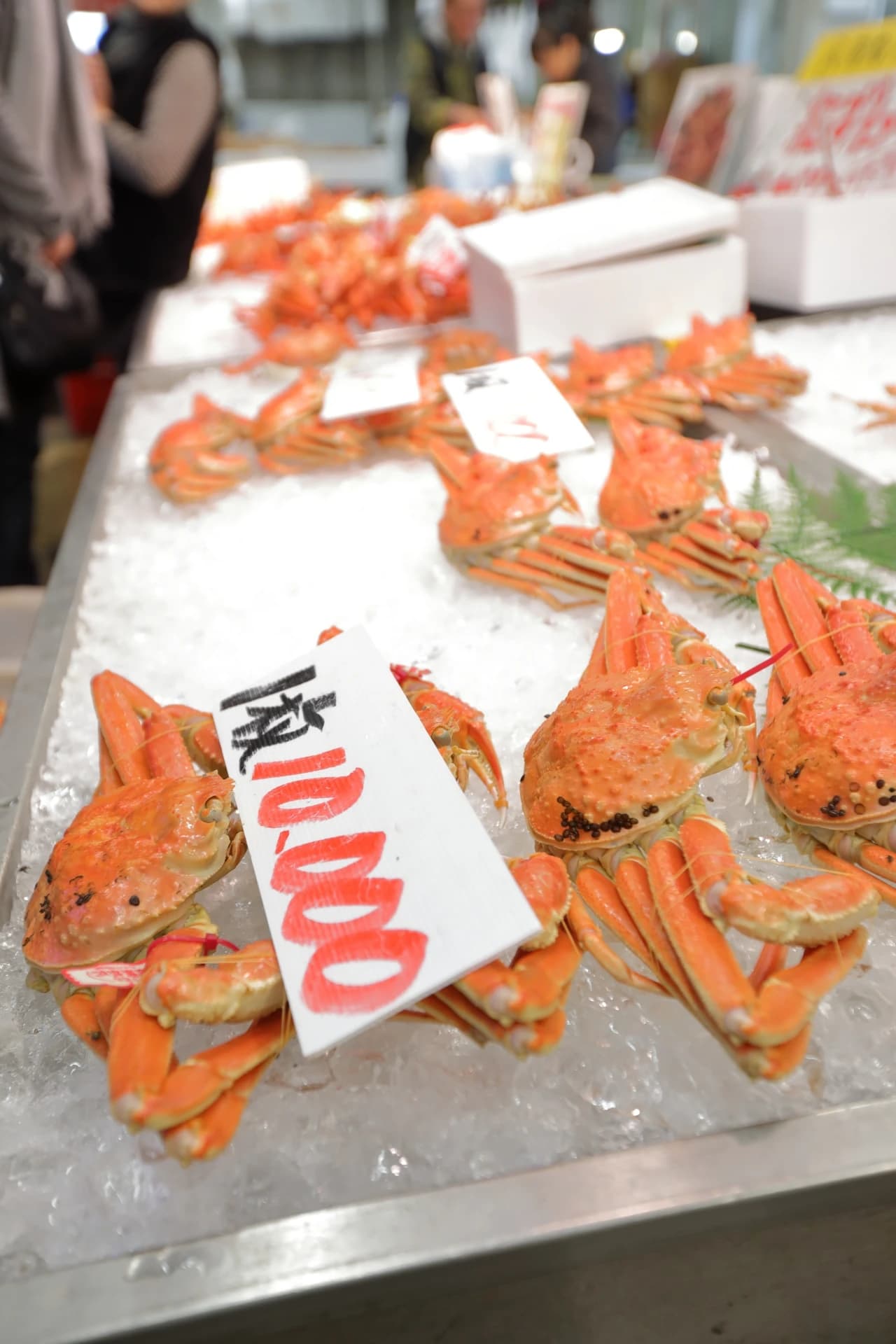 Sakaiminato Fish Market
