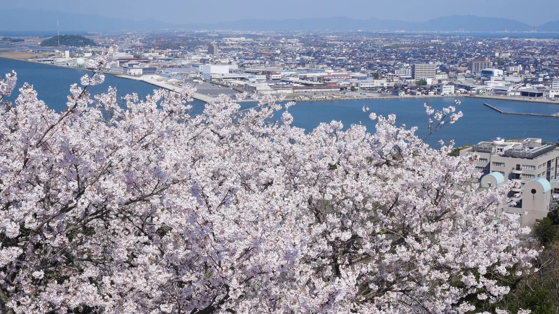Complete Yonago Travel Guide: City Attractions and Nearby Must-Visit Spots