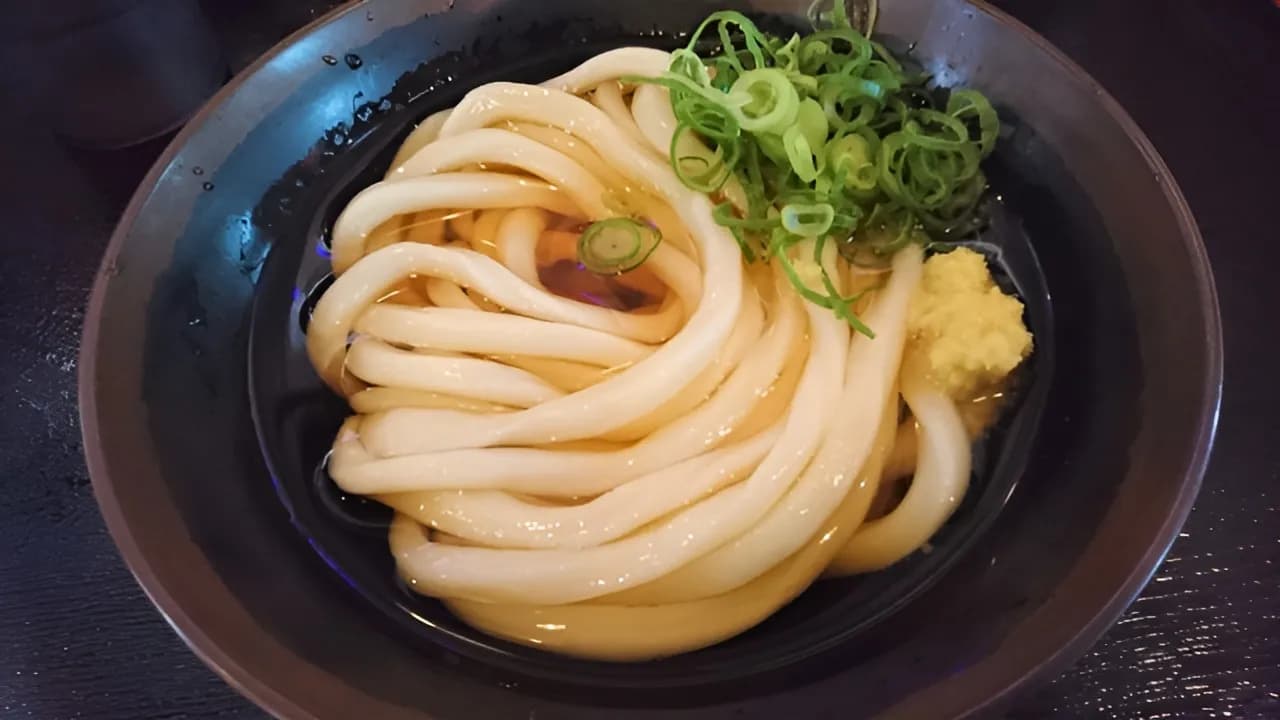 Sanuki udon