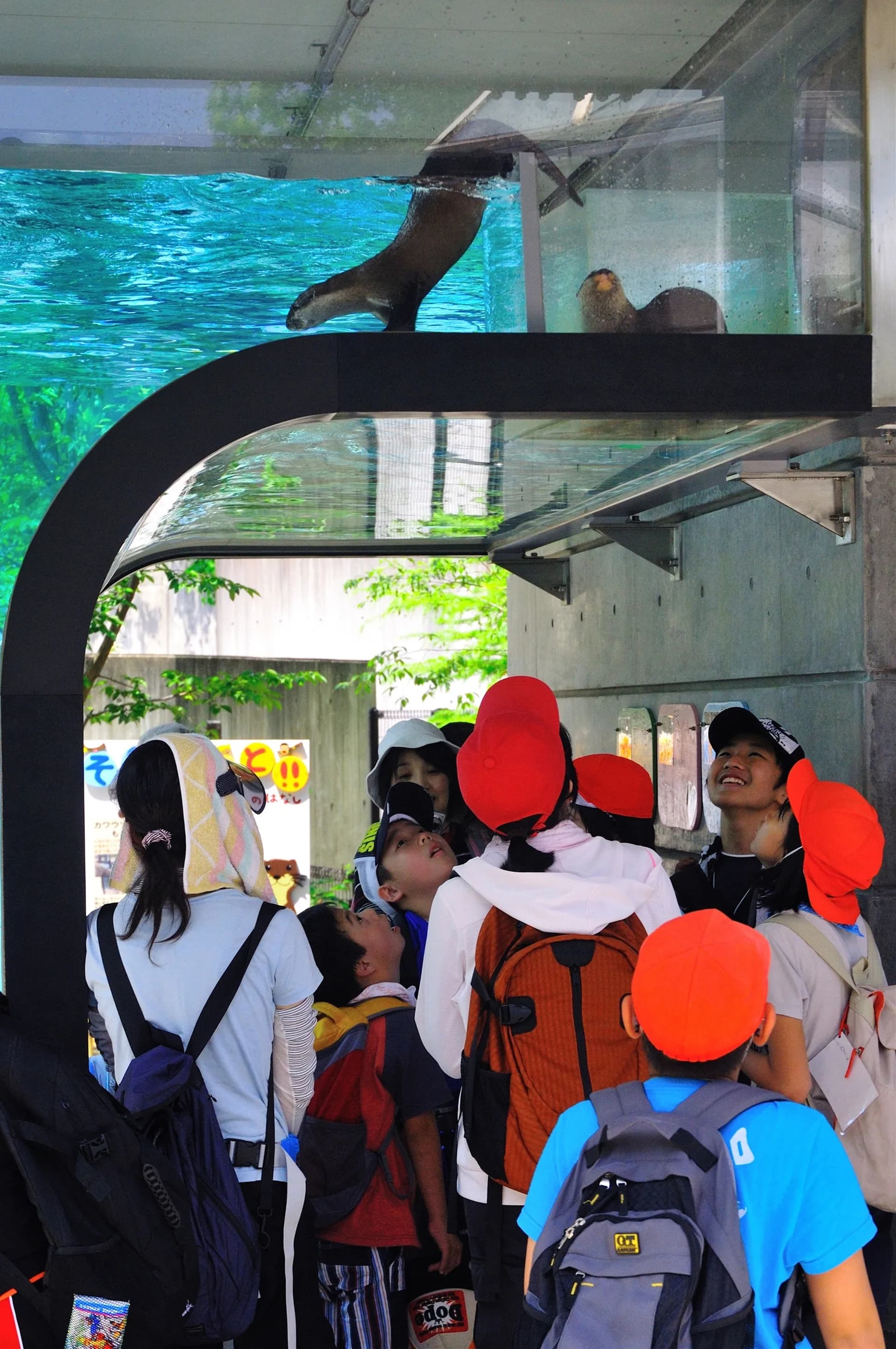 Tokushima Zoo