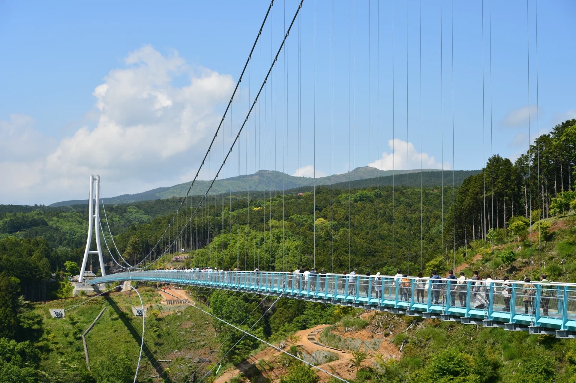Mishima Skywalk Scenery