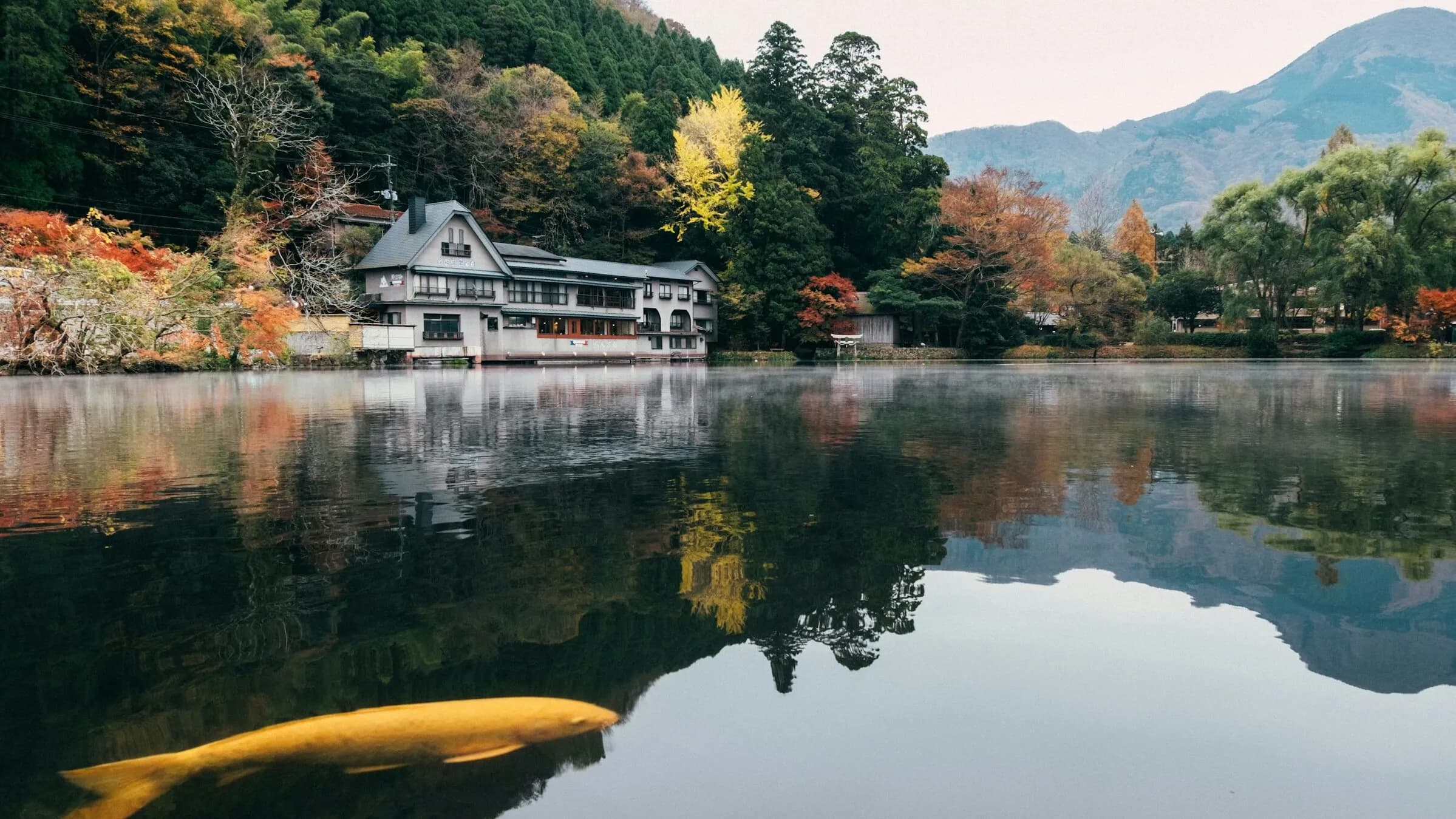 유후인