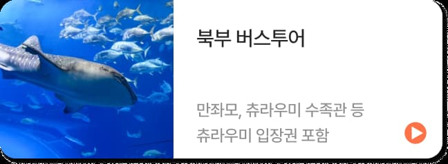 오키나와 북부 버스투어