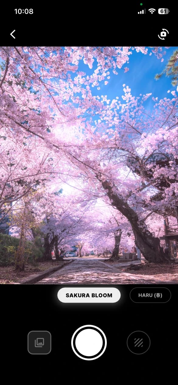 กล้องสไตล์ญี่ปุ่น