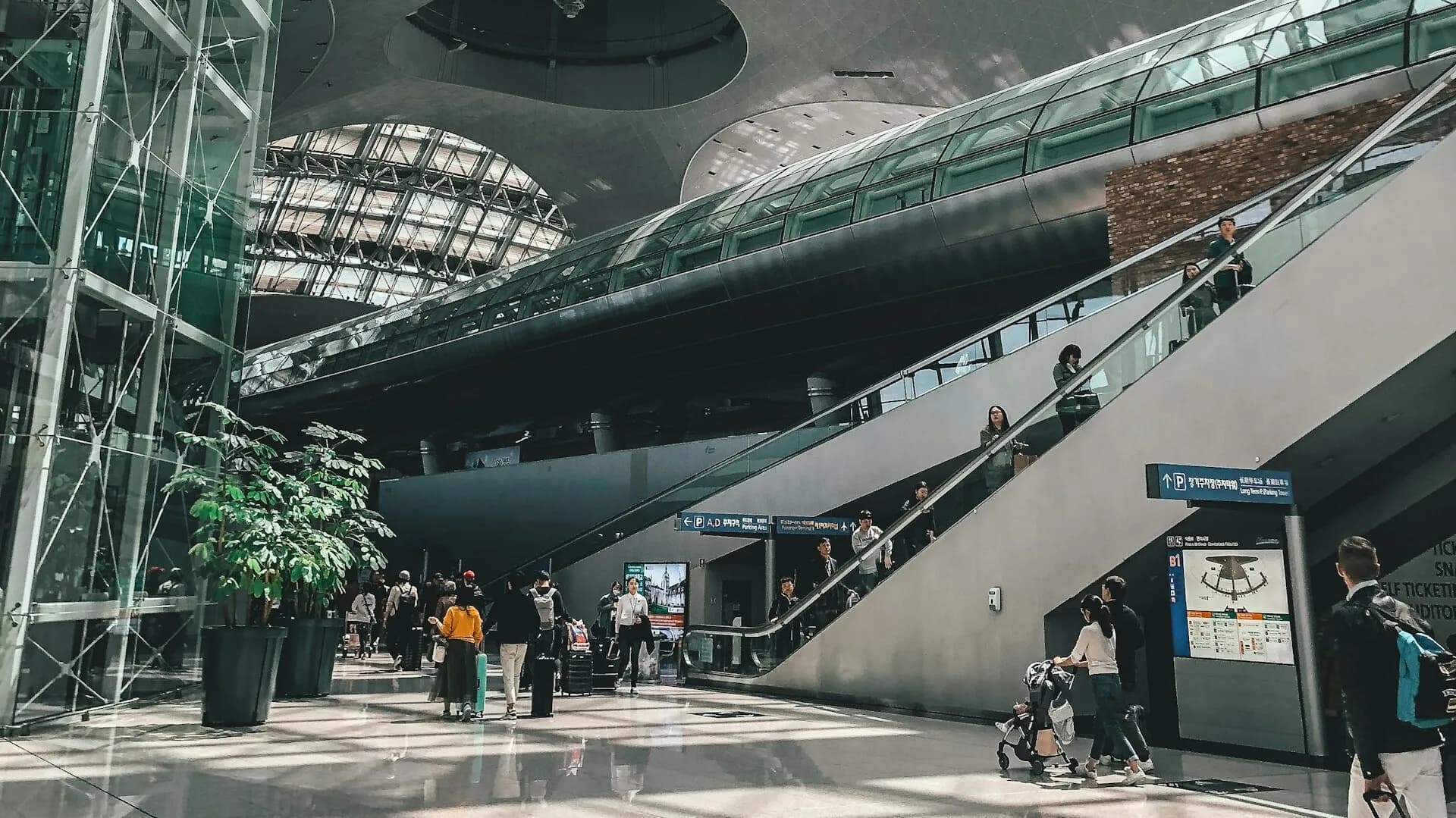 출국 전 확인 사항 & 일본 입국