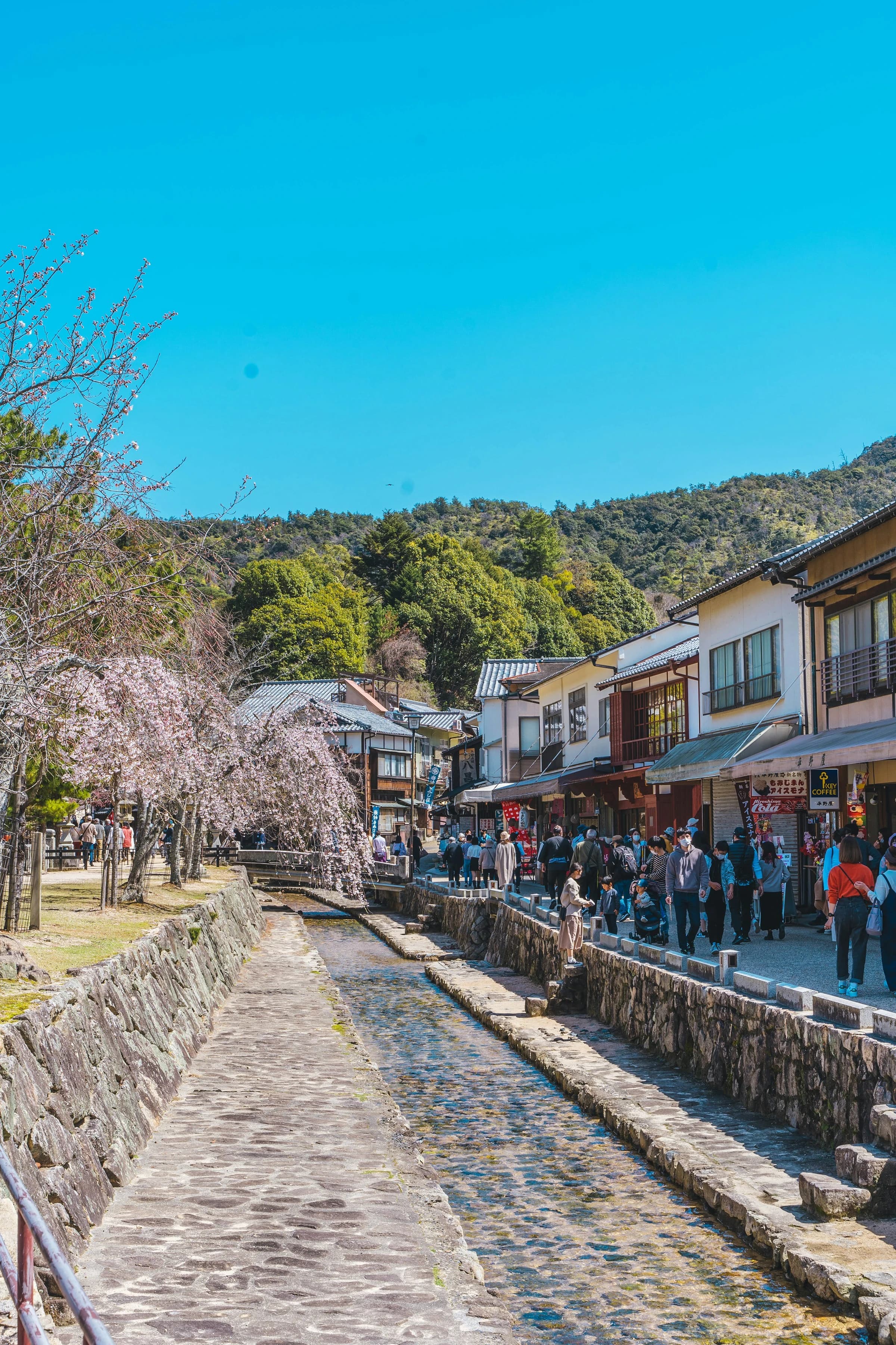 Miyajima Omotesando Shopping Street