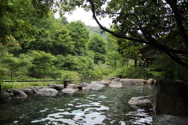 우레시노 시이바노유