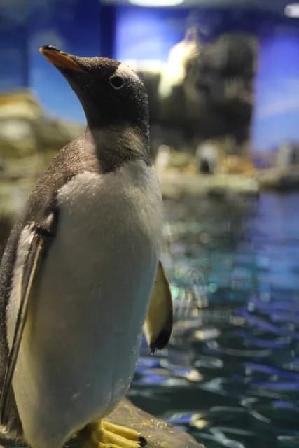 가이쿄칸 수족관