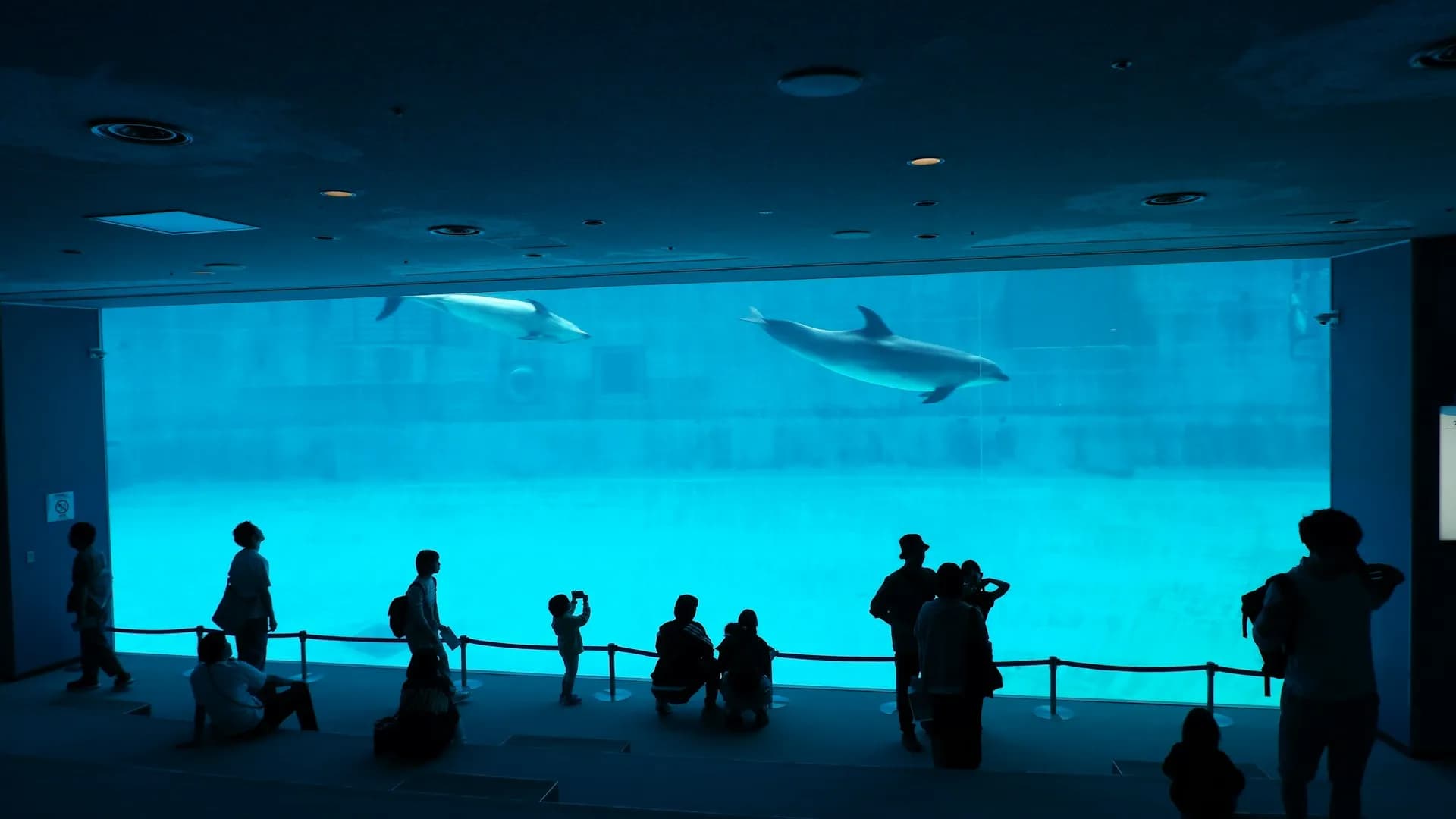 나고야 근교 추천 일정