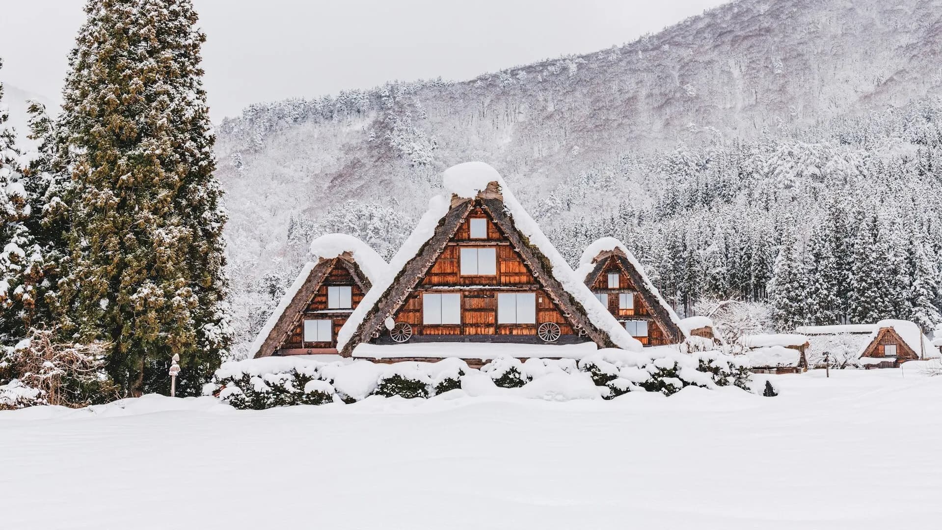 시라카와고/히다 다카야마/게로·오쿠히다 온천