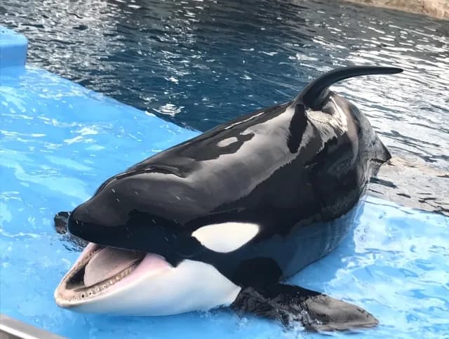 나고야항 수족관