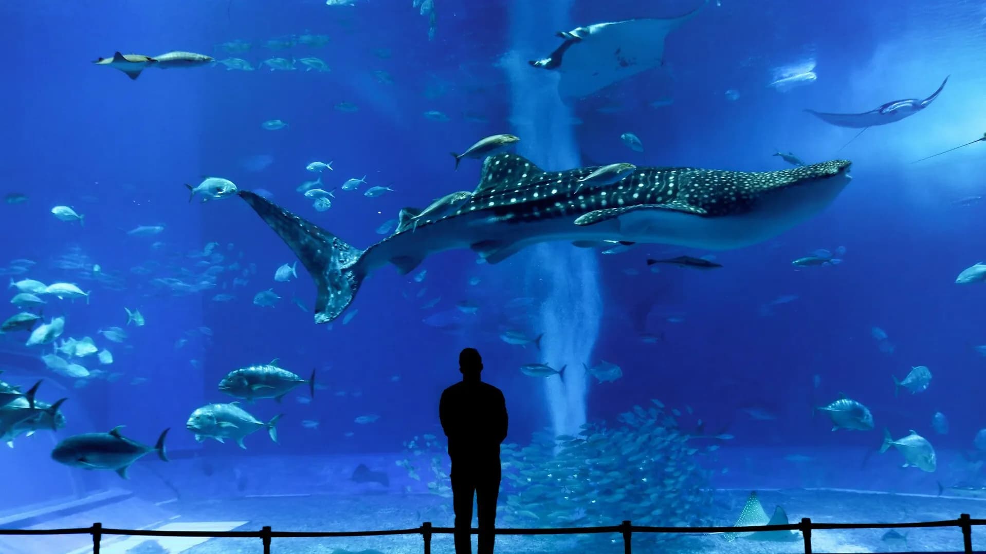 오키나와 여행 준비