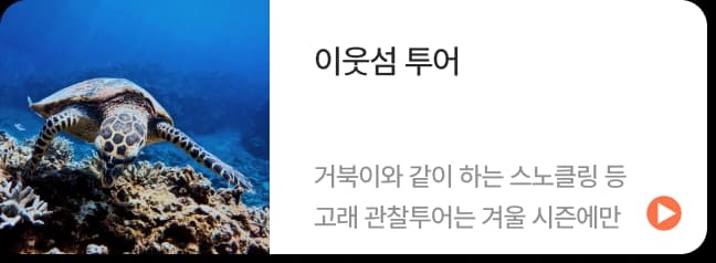 오키나와 근처 섬 투어