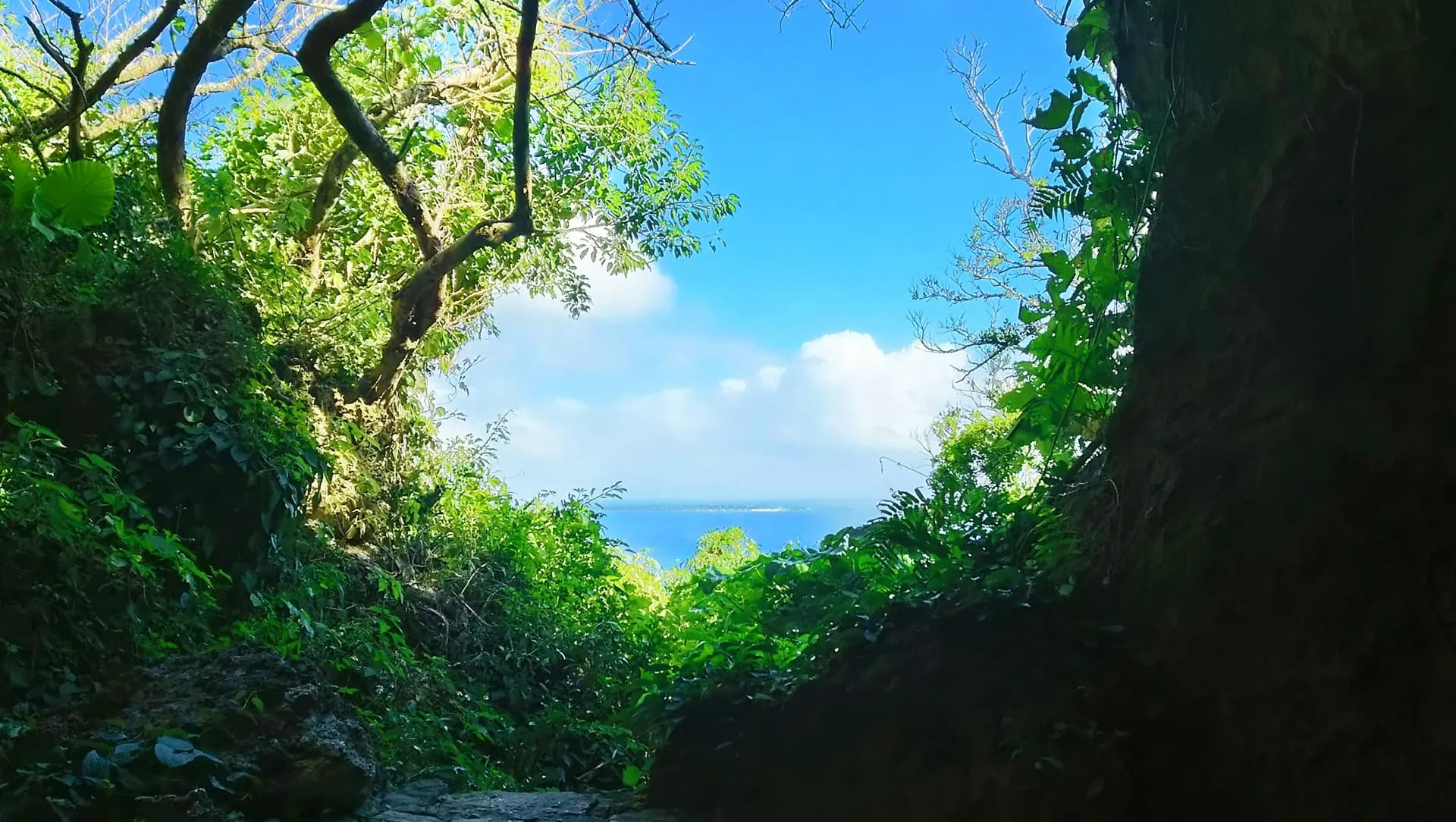 남부 지역 소개