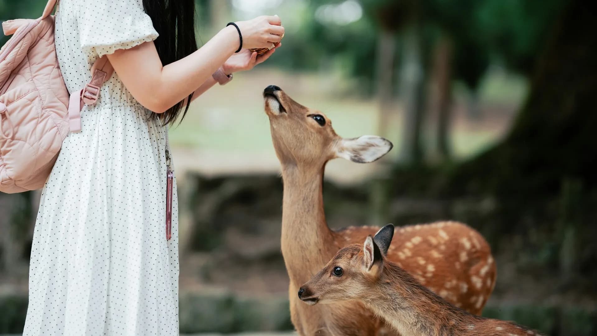 정석코스 5일차