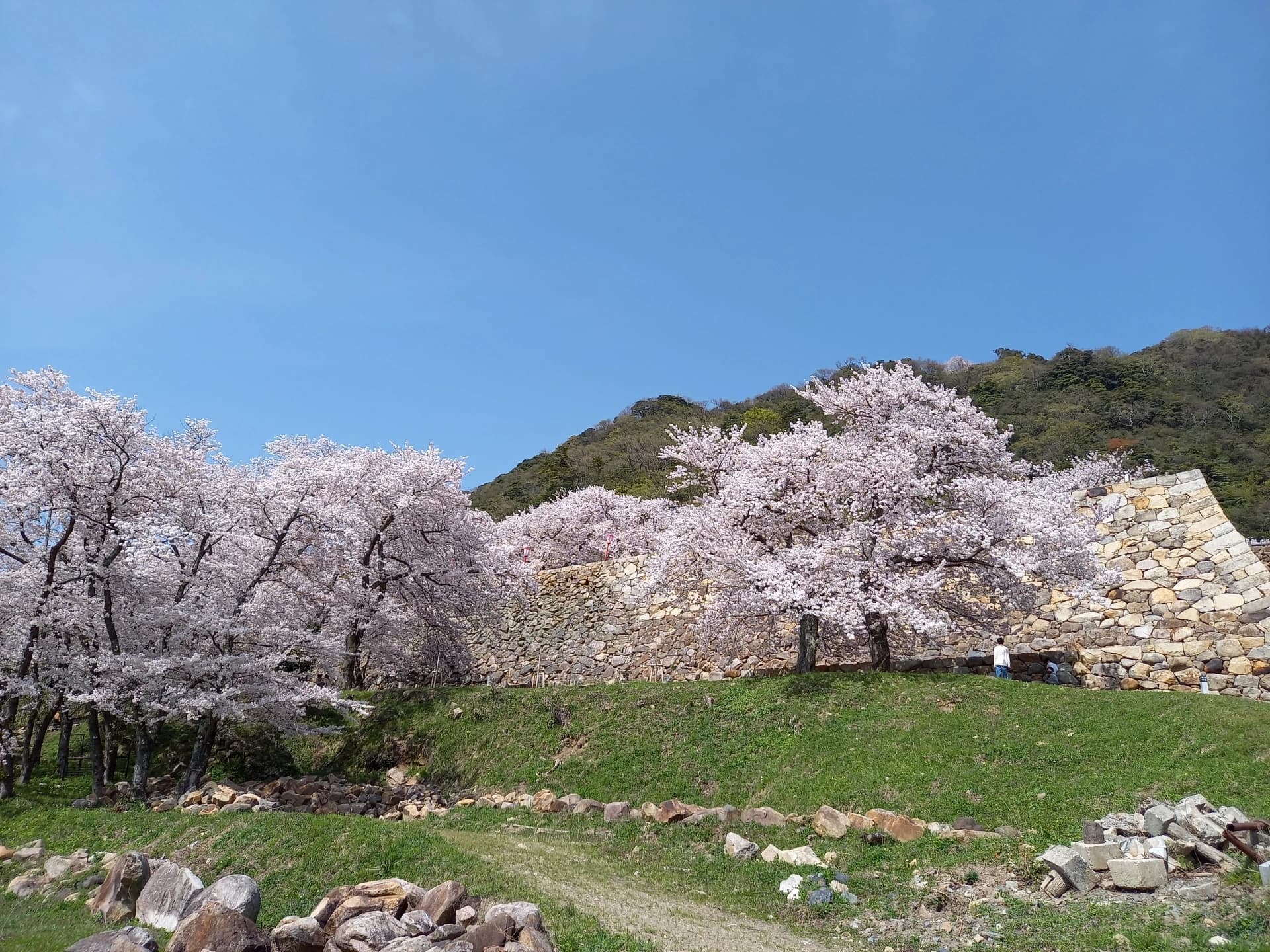 Tottori Castle Ruins