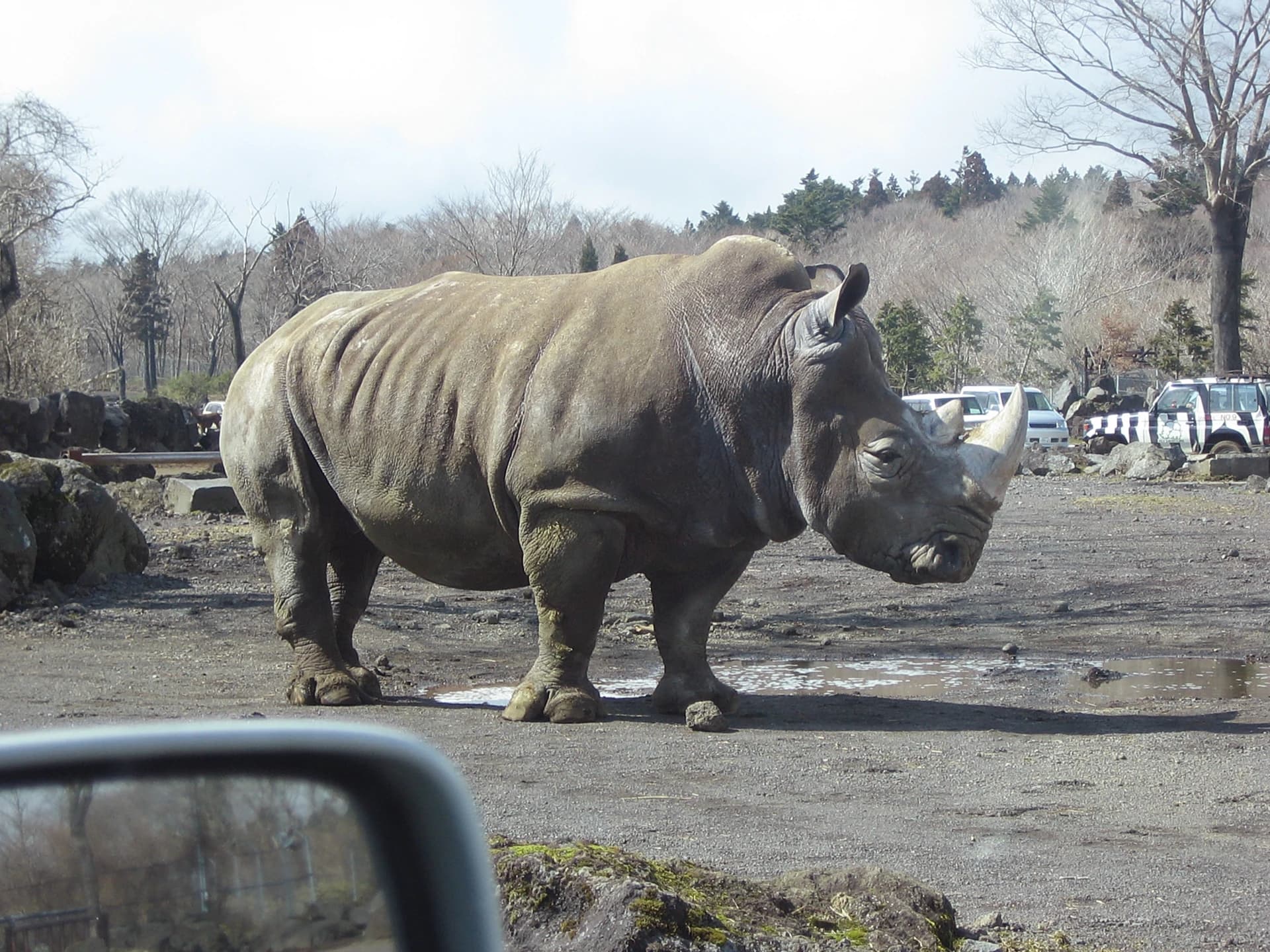 Fuji Safari Park