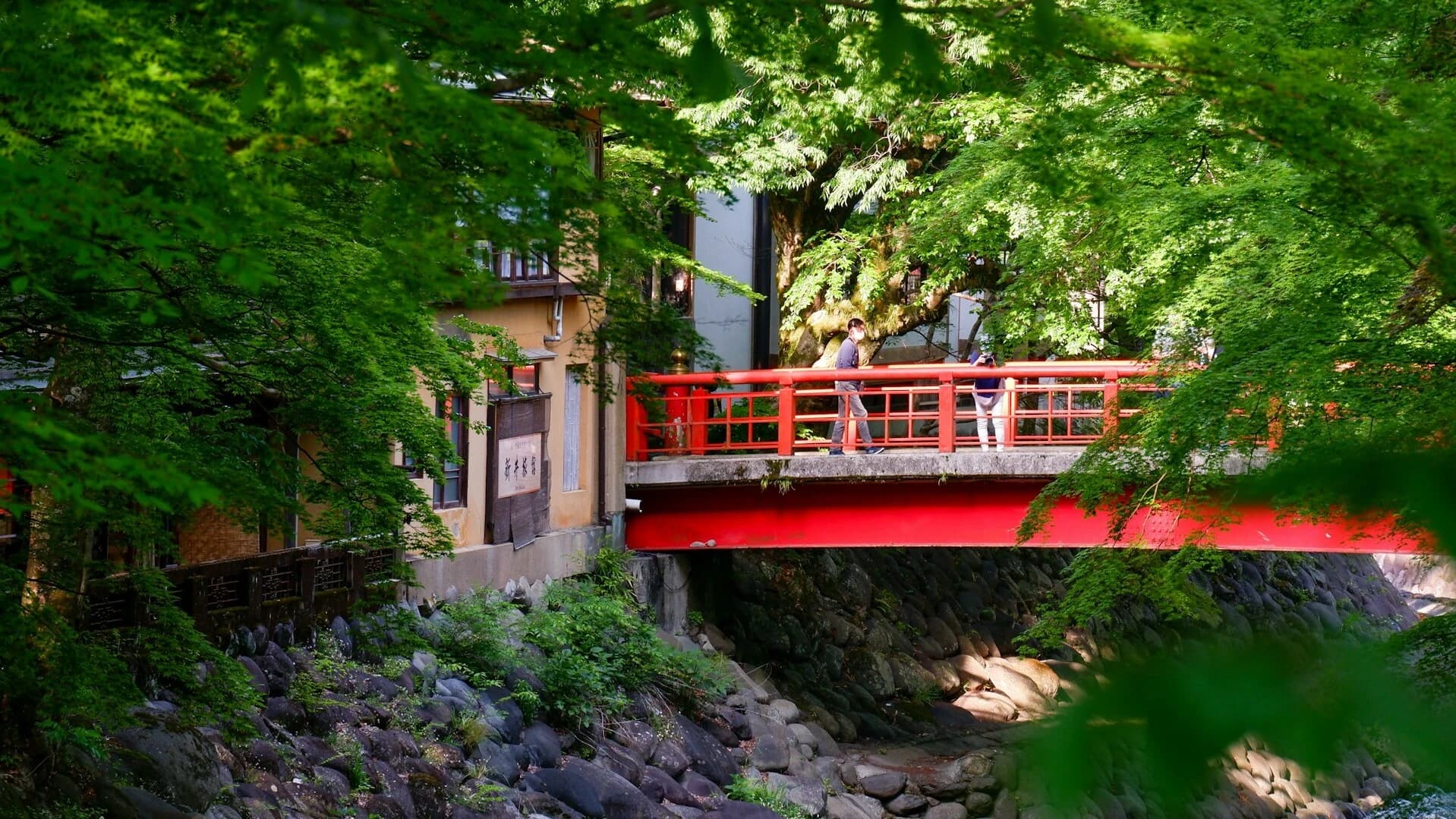 Izu Shuzenji Onsen & Mishima Travel Guide (Skywalk and Transit Pass Tips)