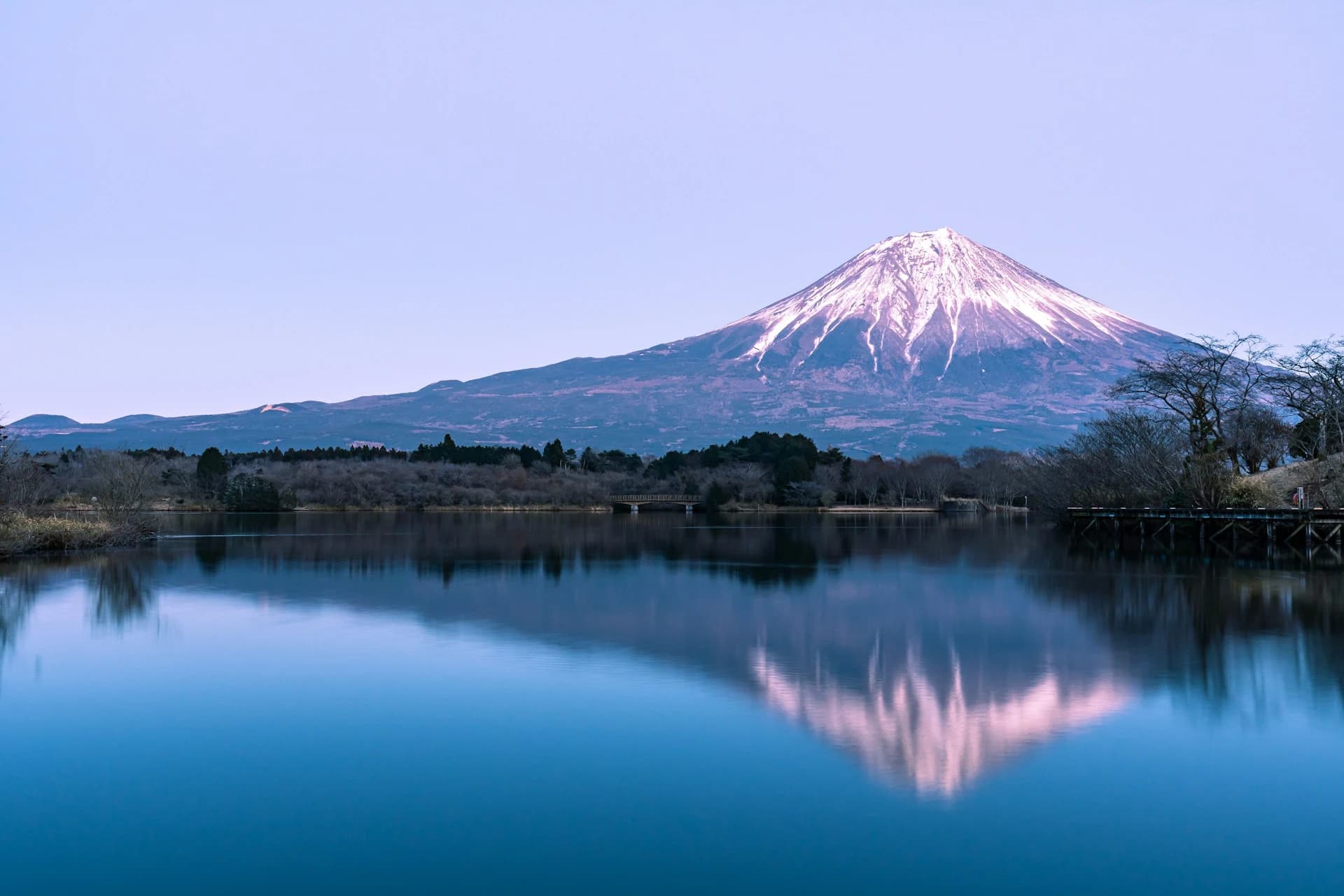Lake Tanuki
